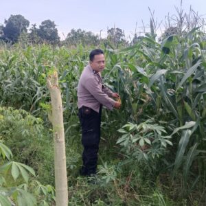 Sinergi Polisi dan Petani: Jaga Kamtibmas dan Ketahanan Pangan