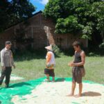 Bhabinkamtibmas Desa Daha Pantau Penjemuran Jagung Warga dalam Rangka Ketahanan Pangan Nasional