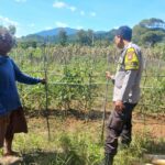 Bhabinkamtibmas Desa Ai Kangkung Dampingi Warga Kelola Pekarangan Pangan Bergizi, Dukung Ketahanan Pangan Lokal