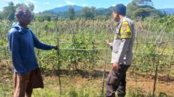 Bhabinkamtibmas Desa Ai Kangkung Dampingi Warga Kelola Pekarangan Pangan Bergizi, Dukung Ketahanan Pangan Lokal