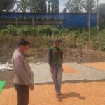 Bantu Jemur Jagung Warga Binaan Bhabinkamtibmas Polsek Donggo Mendukung Program Ketahanan Pangan Nasional