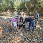 Bhabinkamtibmas Desa Sekongkang Atas Dampingi Petugas Poskeswan lakukan Vaksinasi Rabies