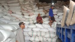 Sat Binmas Polres Bima Kota Himbau Pengatur Lalu Lintas di Depan Gudang Pelabuhan Bima Atur Keluar Masuk Truk agar Tak Ganggu Jalan Umum