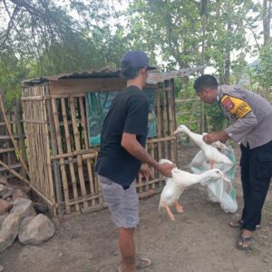 Dukung Wirausaha Warga Binaan, Bhabinkamtibmas Desa Sermong Komitmen Bantu Bibit Ternak Bebek Petelur