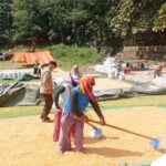 Bhabinkamtibmas Polres Bima Kota Pantau dan Bantu Warga Jemur Jagung di Desa Binaan