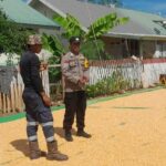 Bhabinkamtibmas Desa Daha Pantau Penjemuran Jagung Warga, Dukung Ketahanan Pangan Menuju Indonesia Emas 2045
