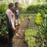 Banyumulek Barat Dorong Kemandirian Pangan Lewat Pekarangan Rumah