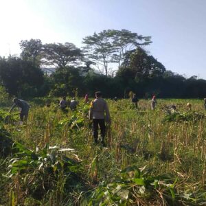 Bhabinkamtibmas Desa Jagaraga Aktif Dorong Ketahanan Pangan Lokal