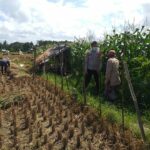 Polisi Dorong Ketahanan Pangan Desa Melalui Lahan Produktif