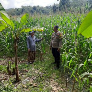 Bhabinkamtibmas Sekotong Timur Dampingi Petani Dukung Ketahanan Pangan