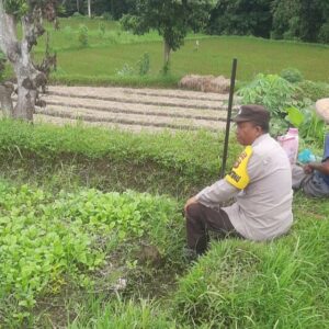 Polri Dorong Ketahanan Pangan di Desa Montong Are