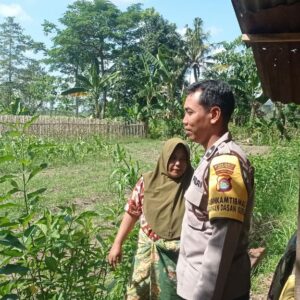 Bhabinkamtibmas Dasan Geres Dukung Ketahanan Pangan Lewat Program Pekarangan Bergizi