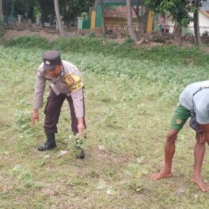Bhabinkamtibmas di Gerung Dorong Kemandirian Pangan di Desa Taman Ayu