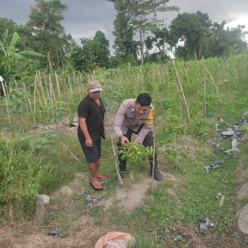 Bhabinkamtibmas Kuranji Ajak Warga Mapak Barat Optimalkan Lahan Kosong