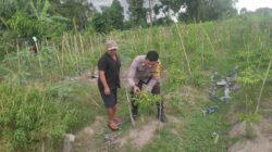 Bhabinkamtibmas Kuranji Ajak Warga Mapak Barat Optimalkan Lahan Kosong