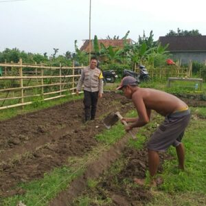 Polisi Kuripan Dorong Ketahanan Pangan dari Pekarangan Warga
