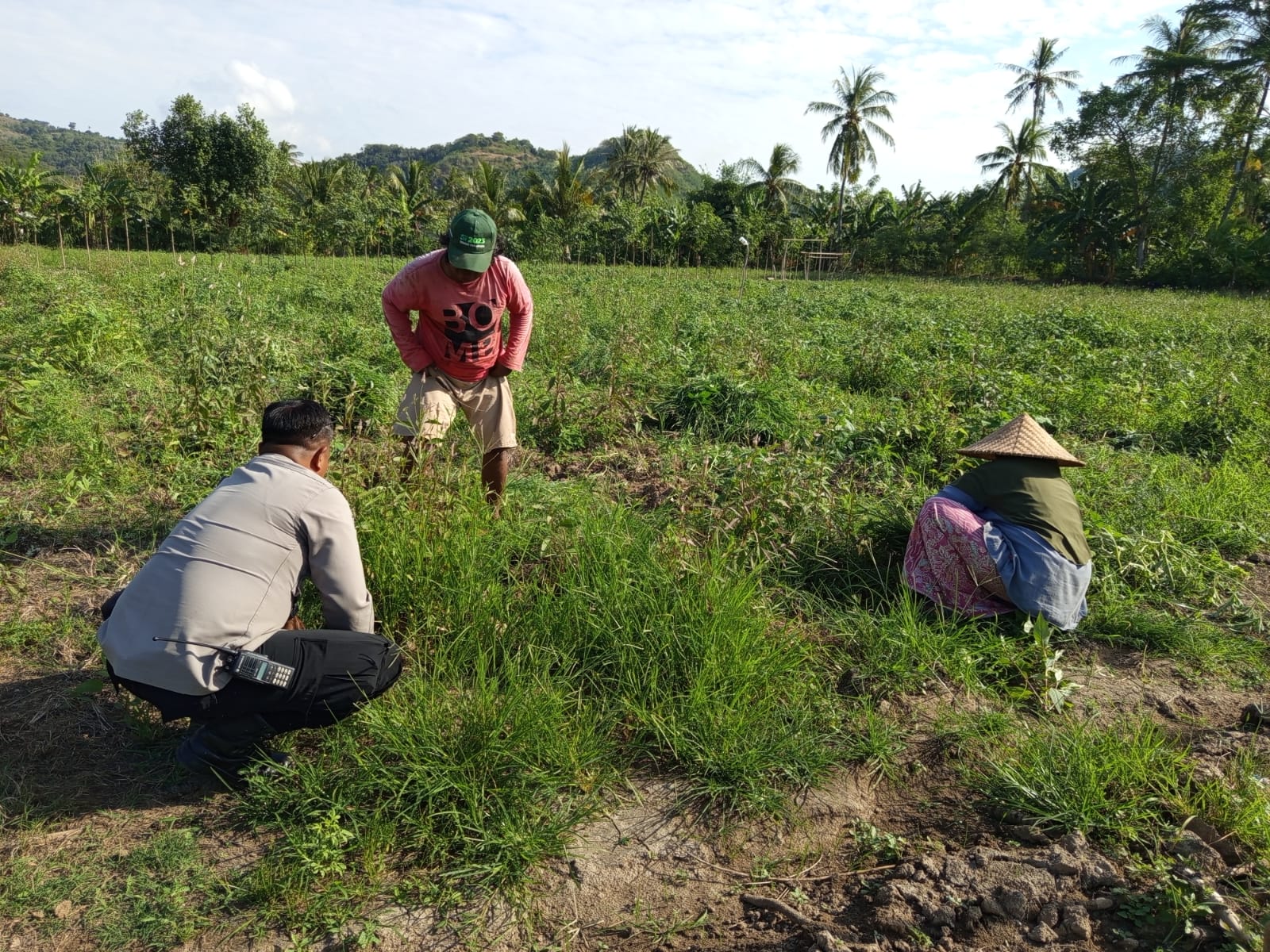 Pemanfaatan Lahan Pekarangan Didorong Bhabinkamtibmas Sekotong Barat