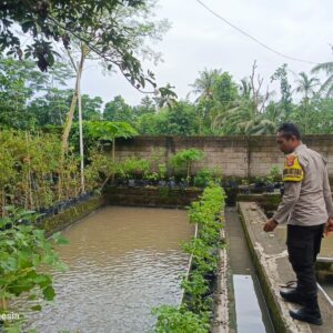 Pemuda Kuripan Utara Dukung Ketahanan Pangan Lokal