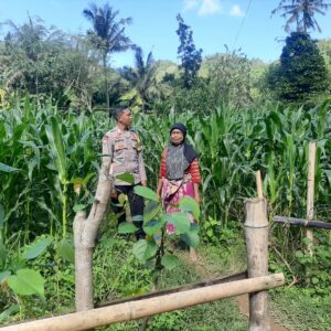 Bhabinkamtibmas Dukung Ketahanan Pangan di Sekotong Timur