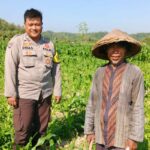 Bhabinkamtibmas Dukung Ketahanan Pangan di Desa Jembatan Gantung