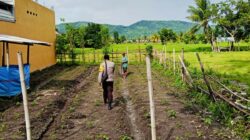 Polsek Kediri Dampingi Petani Desa Dasan Baru Jaga Ketahanan Pangan
