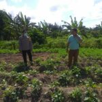 Bhabinkamtibmas Lembar Selatan Dorong Warga Manfaatkan Pekarangan
