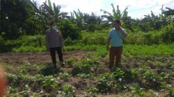 Polri Dukung Ketahanan Pangan Nasional Bhabinkamtibmas Jagaraga Ajak Petani Manfaatkan Lahan Produktif