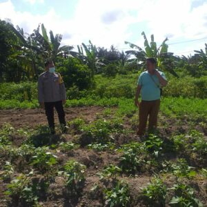 Polri Dorong Ketahanan Pangan Lewat Pendampingan Petani di Lombok Barat