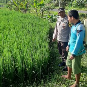Bhabinkamtibmas Dorong Ketahanan Pangan di Montong Are, Lombok Barat