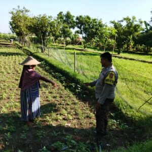 Bhabinkamtibmas Desa Jembatan Gantung Dorong Ketahanan Pangan Warga