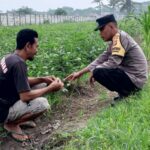 Bhabinkamtibmas Kuripan Dorong Warga Manfaatkan Pekarangan untuk Ketahanan Pangan