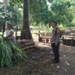 Ketahanan Pangan Dimulai dari Pekarangan: Inisiatif Polri di Batulayar Barat