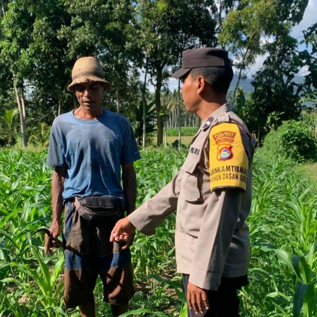 Bhabinkamtibmas Dasan Geres Dukung Ketahanan Pangan Lewat Kunjungan ke Petani