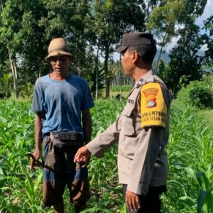 Bhabinkamtibmas Dasan Geres Dukung Ketahanan Pangan Lewat Kunjungan ke Petani