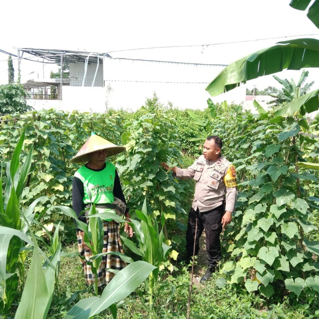 Dukung Ketahanan Pangan, Polisi Ajak Petani Manfaatkan Lahan Kosong