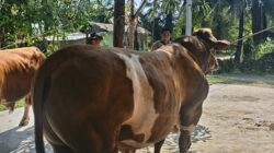 Ketua Bhayangkari Daerah Bengkulu Salurkan Bantuan Kemanusiaan bagi Korban Gempa