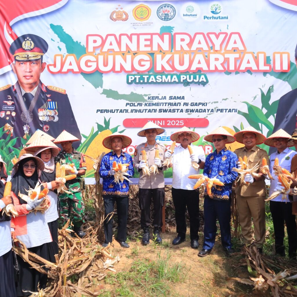 Kapolres Kampar Panen Raya Jagung: Wujud Dukungan Nyata untuk Ketahanan Pangan Nasional