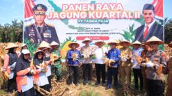 Kapolres Kampar Panen Raya Jagung: Wujud Dukungan Nyata untuk Ketahanan Pangan Nasional