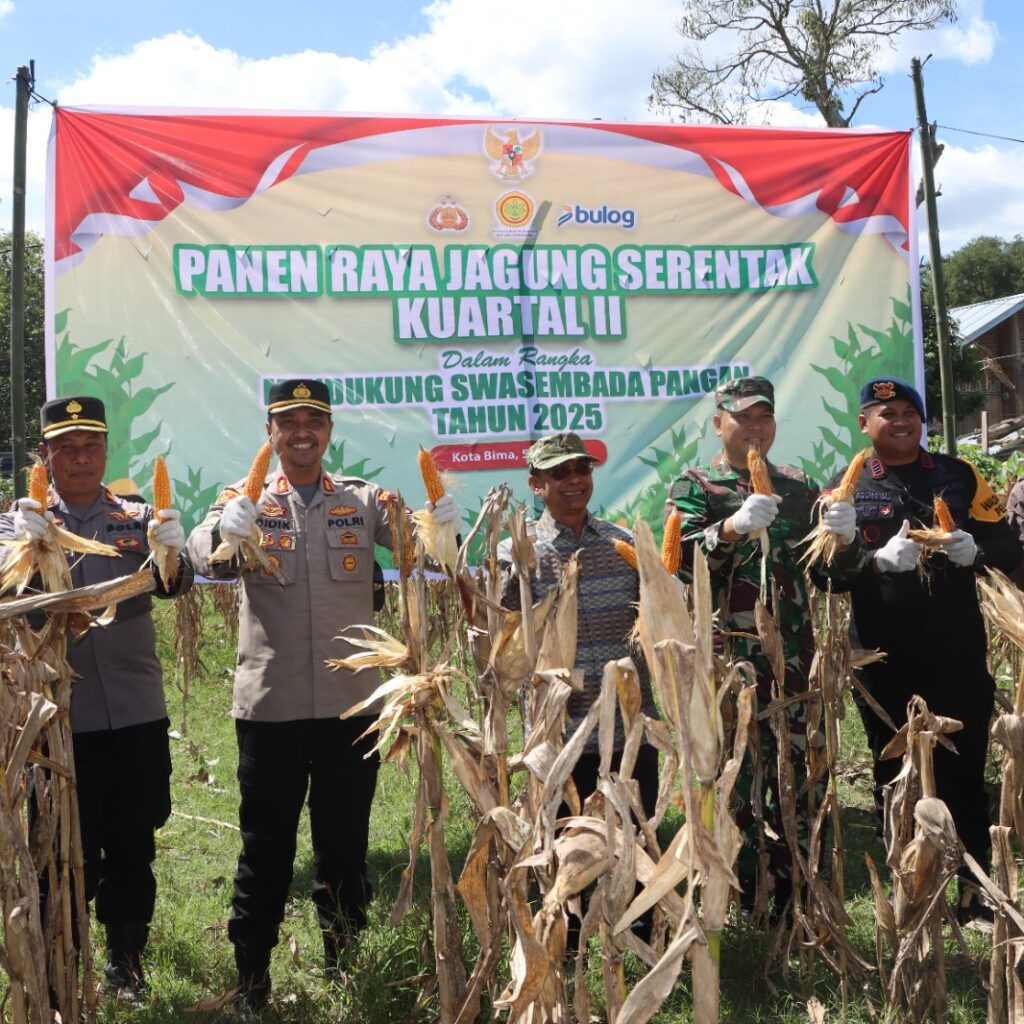 Polres Bima Kota Gelar Panen Raya Jagung Serentak Tahap Dua di Kelurahan Oimbo