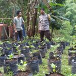 Ketahanan Pangan Dimulai dari Pekarangan: Polsek Batulayar Dampingi Warga