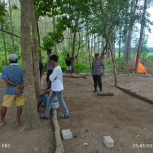 Polsek Lambu Bubarkan dan Bongkar Arena Sabung Ayam di Desa Melayu