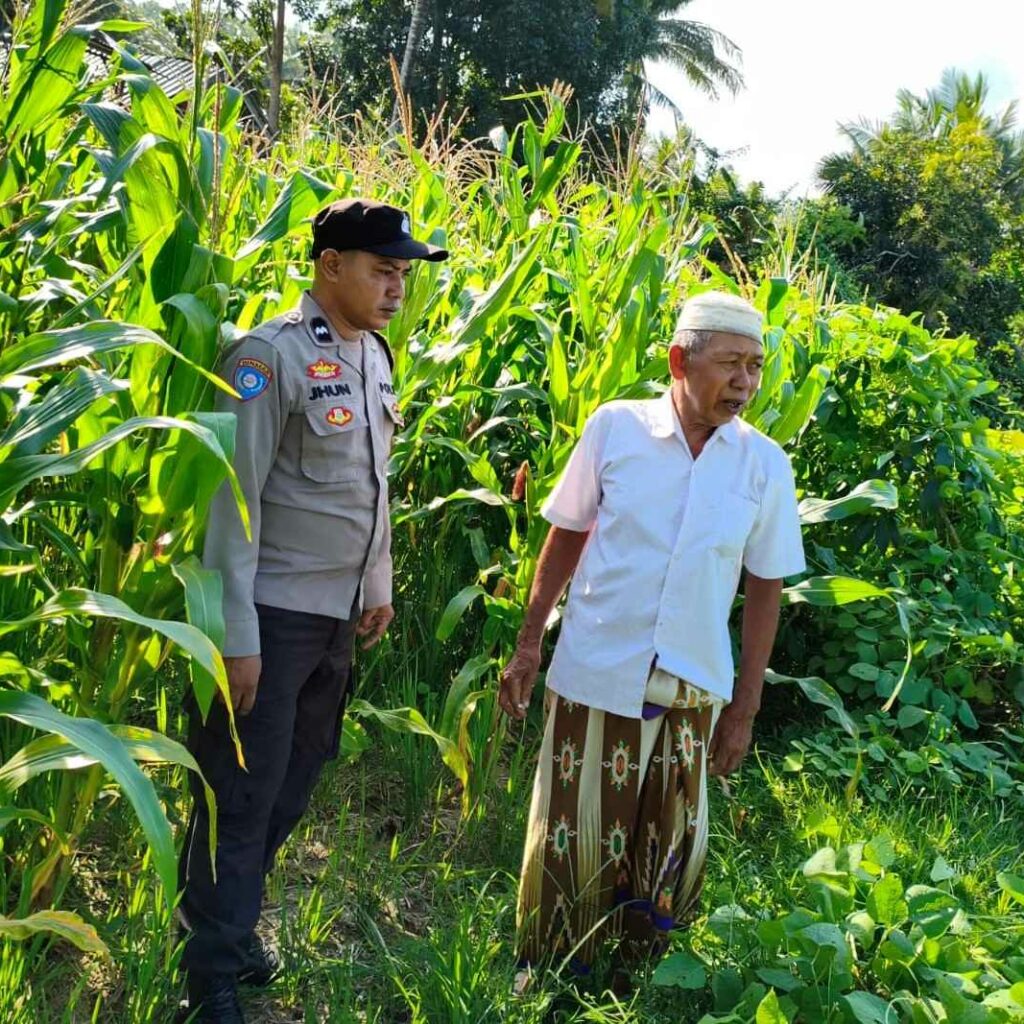Polri Dukung Ketahanan Pangan di Mareje Timur Lewat Pengecekan Lahan