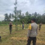 Bhabinkamtibmas Banyumulek Dampingi Petani Jagung Dorong Ketahanan Pangan