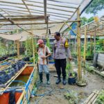 Bhabinkamtibmas Desa Bajur Dorong Ketahanan Pangan Lewat Pemanfaatan Pekarangan
