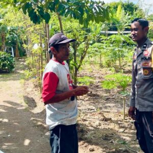 Bhabinkamtibmas Desa Rumak Dukung Ketahanan Pangan Lewat Edukasi Warga
