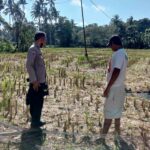Warga Kuripan Didorong Mandiri Pangan Lewat Pekarangan