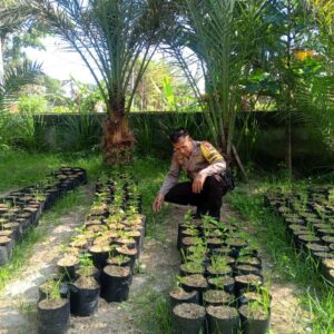 Bhabinkamtibmas Terong Tawah Dorong Ketahanan Pangan Lewat Pekarangan Produktif