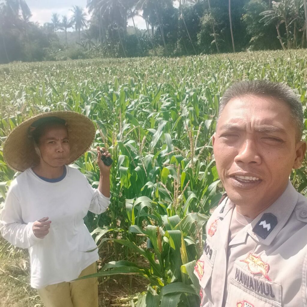 Dukungan Polri di Eyat Mayang, Petani Jagung Tak Sendiri