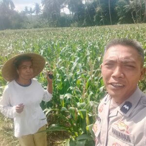 Pemanfaatan Pekarangan Dorong Ketahanan Pangan di Desa Kuripan