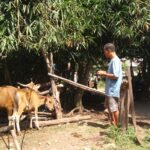 Dusun Melase Gerakkan Ketahanan Pangan dari Pekarangan
